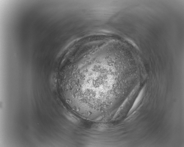 X0000071761355200607142351