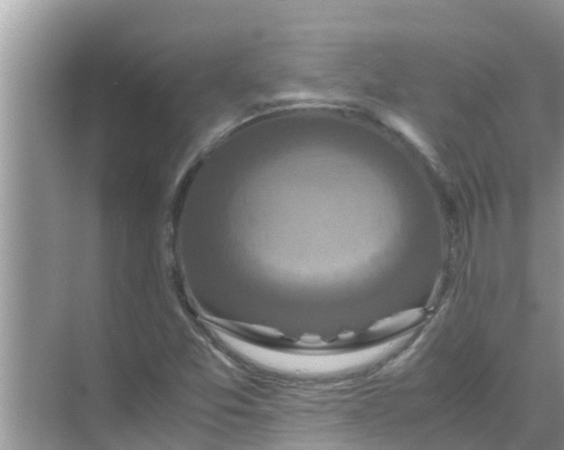 X0000071761357200607142351