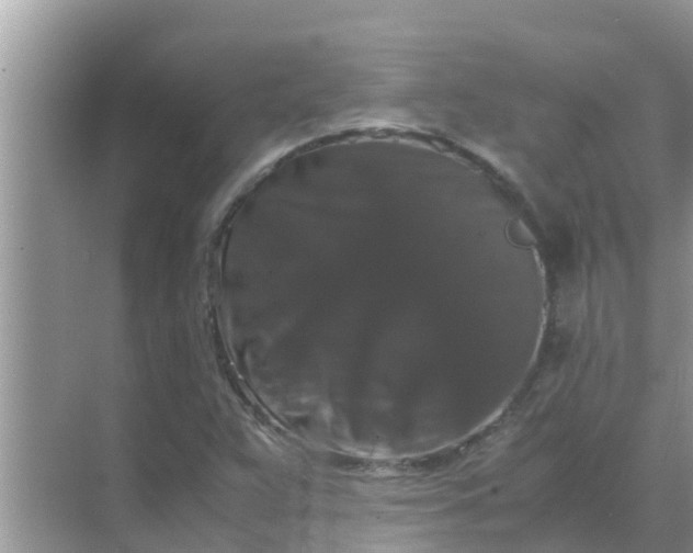 X0000071761359200607142351