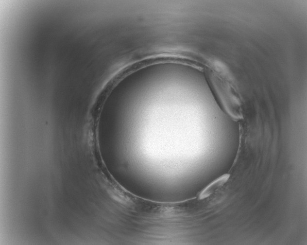 X0000071761360200607142351