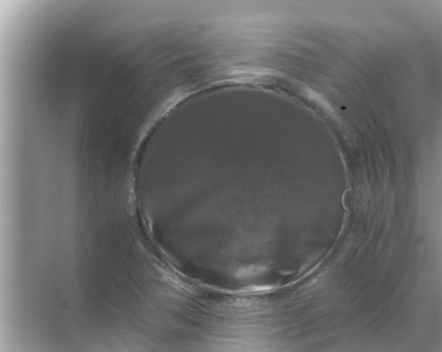 X0000071761362200607142351