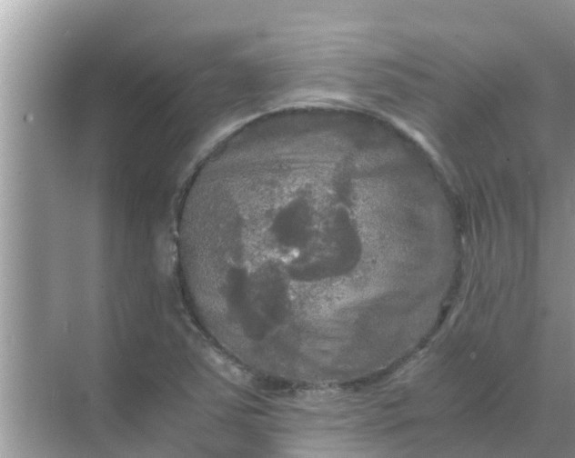 X0000071761363200607142351