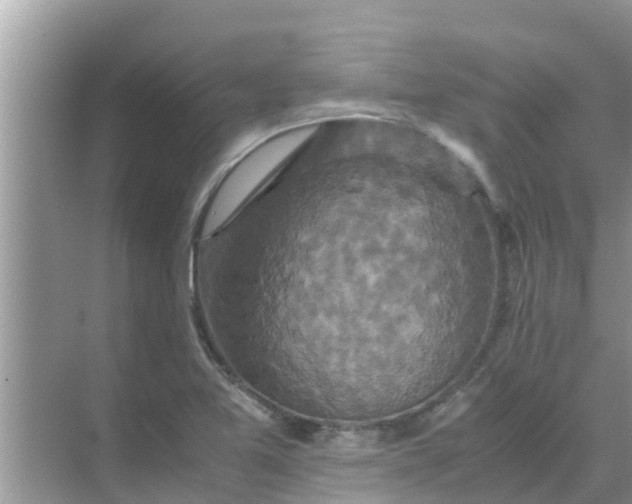 X0000071761365200607142351