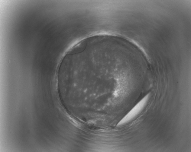 X0000071761367200607142351