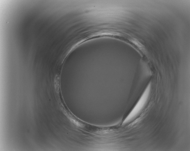 X0000071761369200607142351