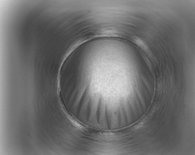 X0000071761370200607142351