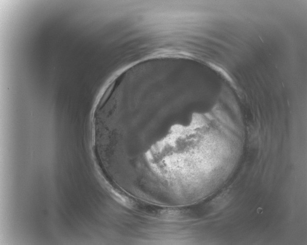 X0000071761371200607142351