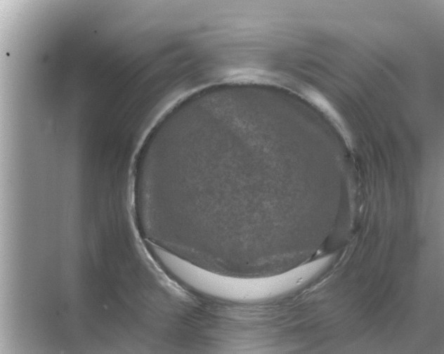 X0000071761376200607142351