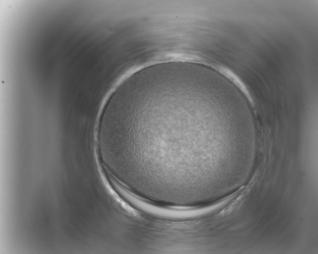 X0000071761381200607142351