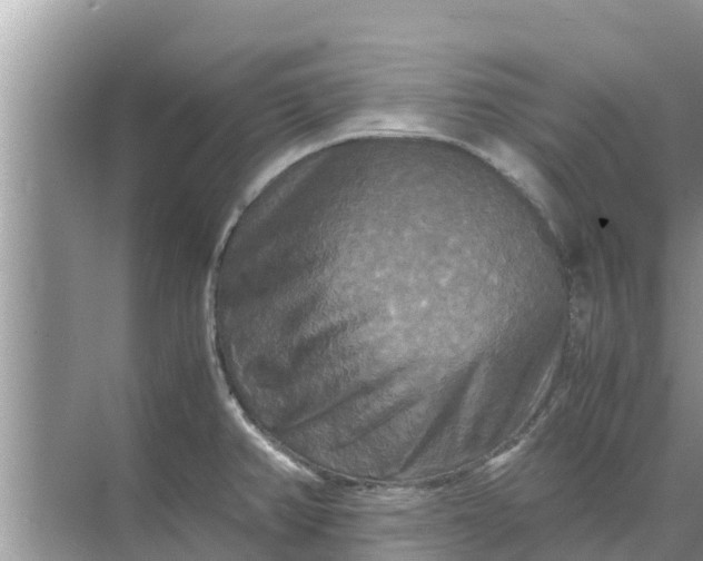 X0000071761382200607142351