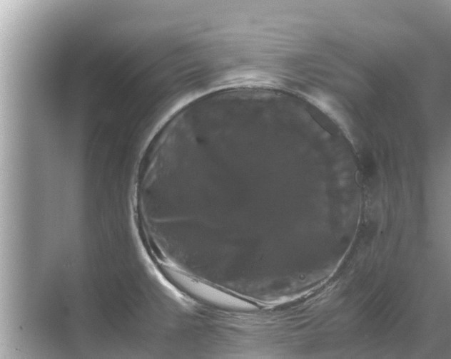 X0000071761383200607142351