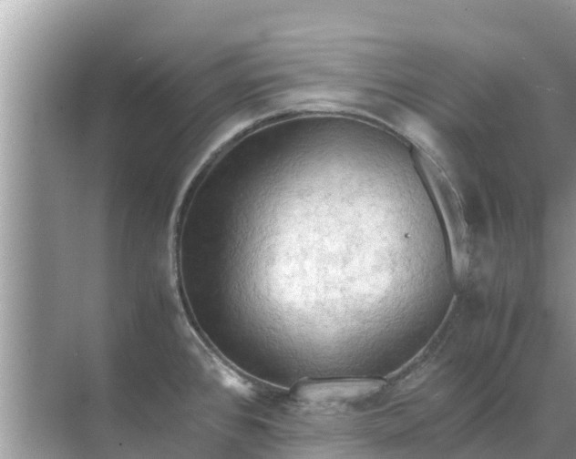 X0000071761384200607142351