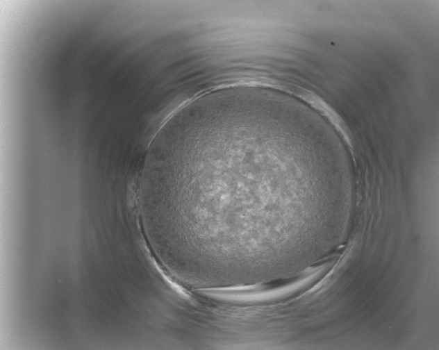 X0000071761385200607142351