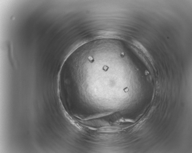 X0000071761386200607142351