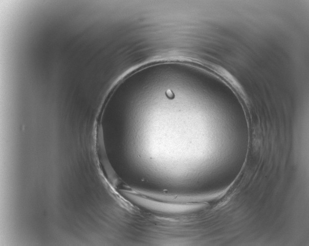 X0000071761388200607142351