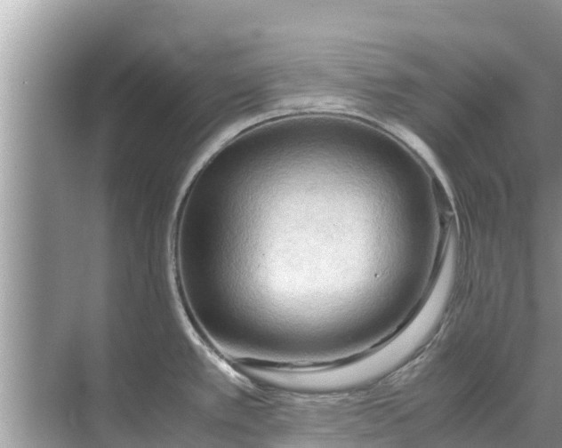 X0000071761389200607142351