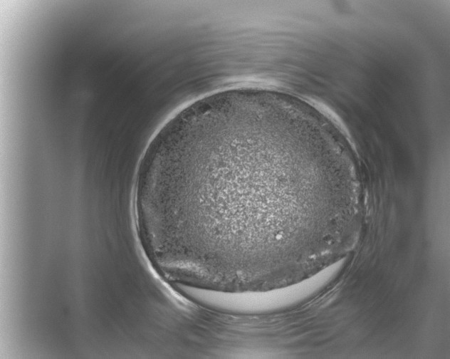 X0000071761391200607142351