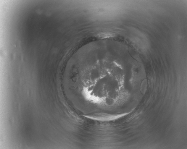 X0000071761393200607142350