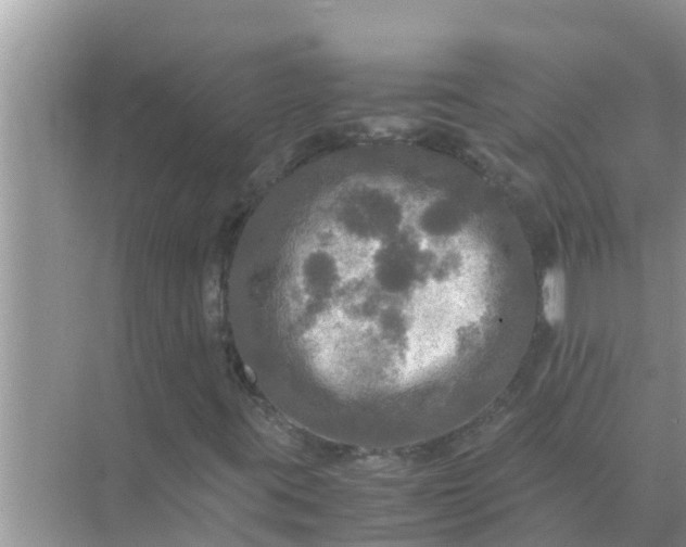 X0000071761395200607142350