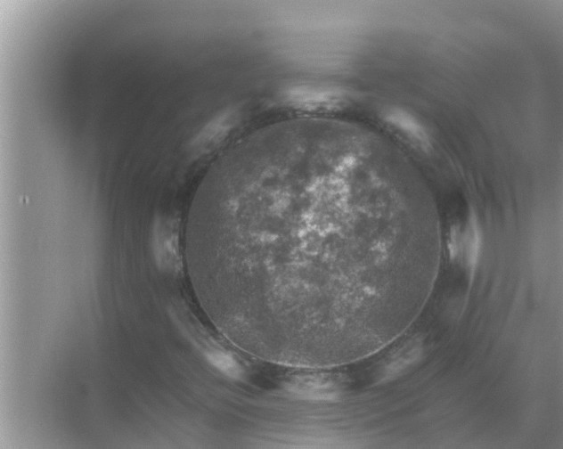 X0000071761396200607142350