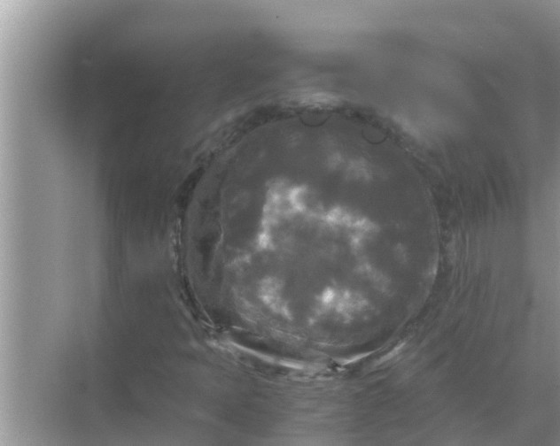 X0000071761397200607142350