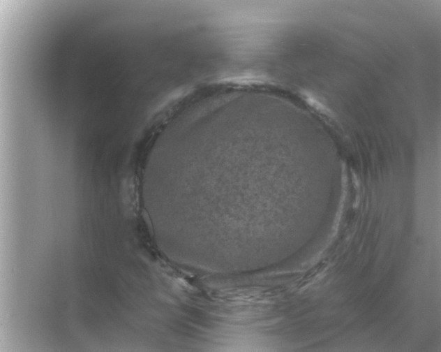 X0000071761398200607142350