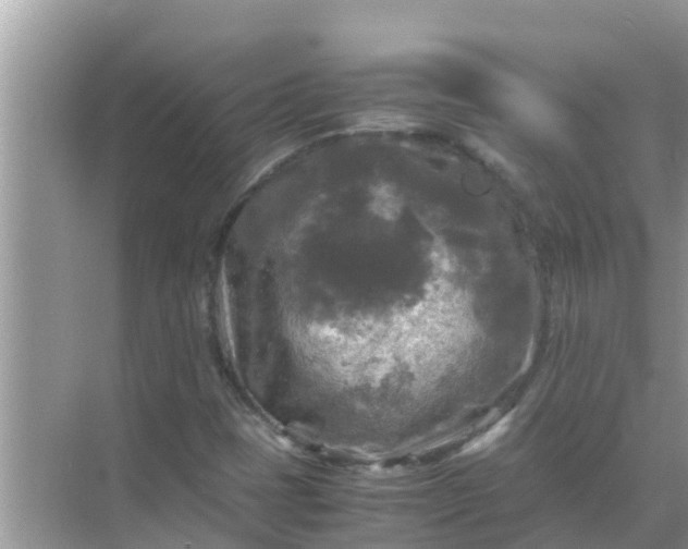 X0000071761401200607142350