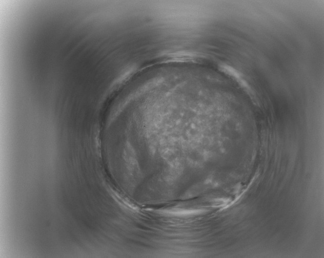 X0000071761403200607142350