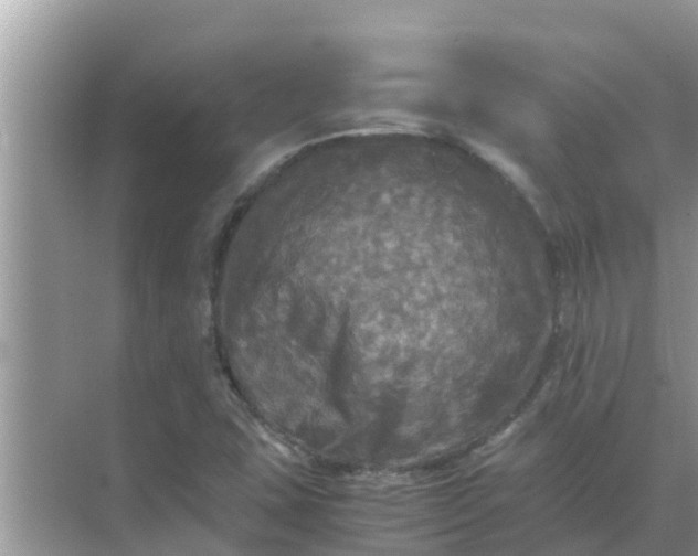 X0000071761407200607142350