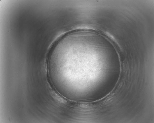 X0000071761408200607142350