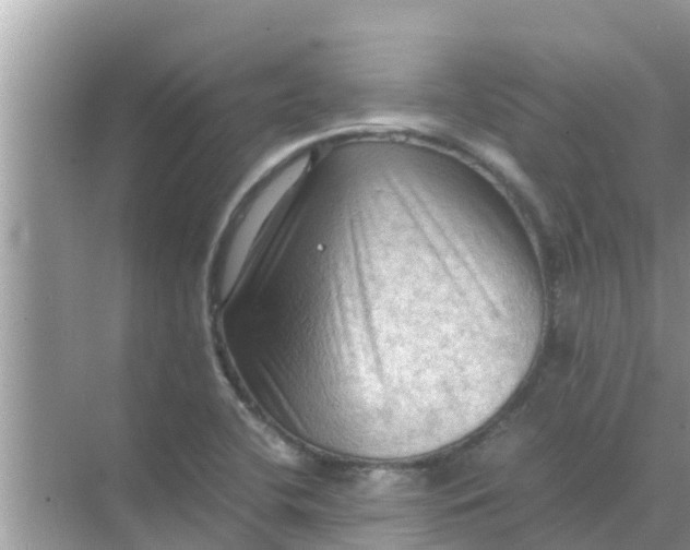 X0000071761412200607142350