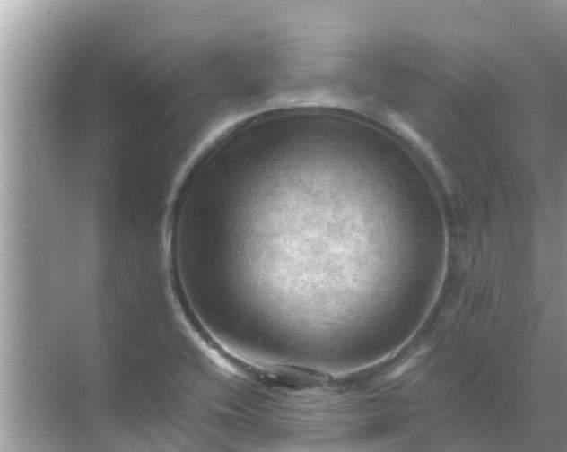 X0000071761416200607142350