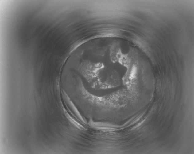 X0000071761417200607142350