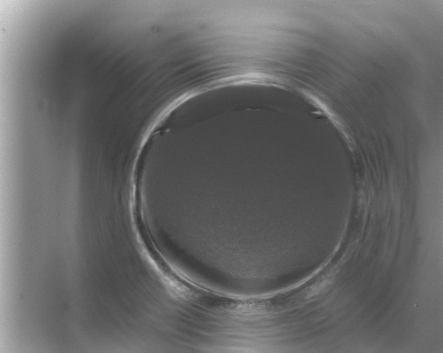 X0000071761418200607142350