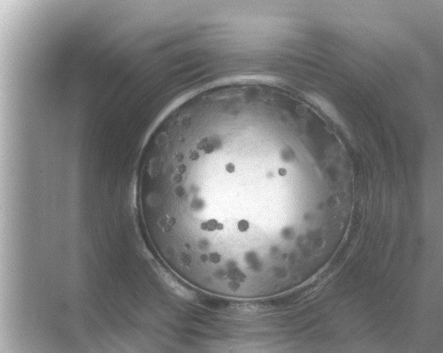 X0000071761420200607142350