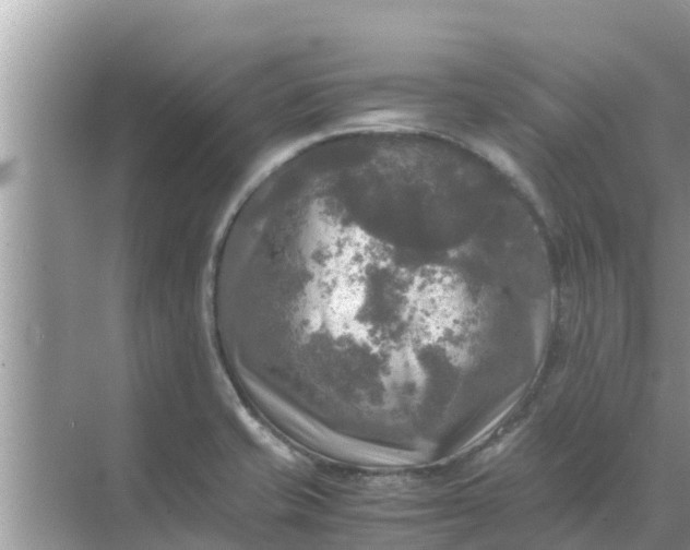 X0000071761421200607142351