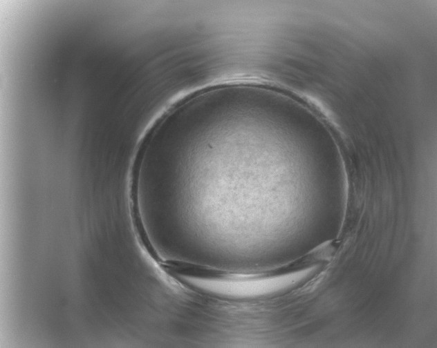 X0000071761422200607142351