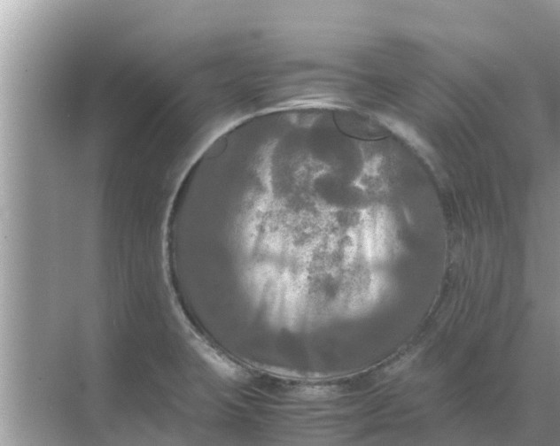 X0000071761423200607142351