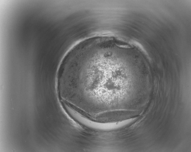 X0000071761424200607142351