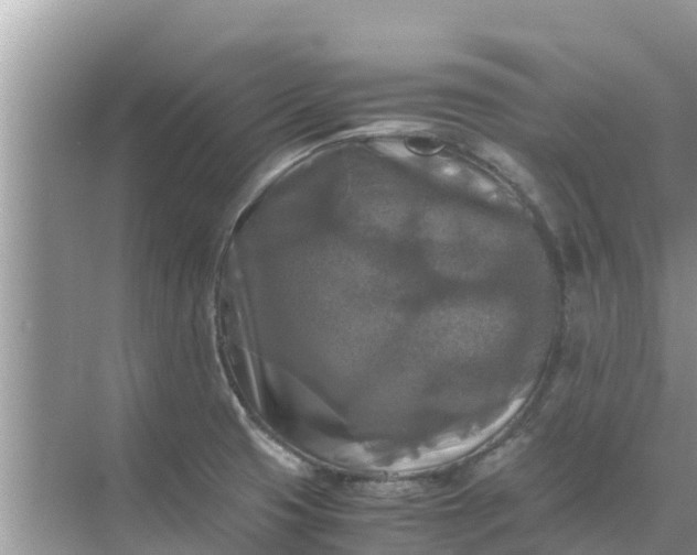 X0000071761425200607142351