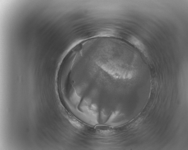 X0000071761427200607142351