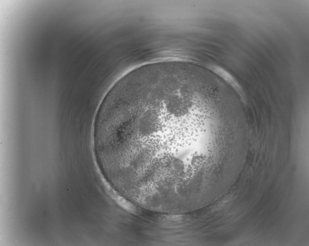 X0000071761431200607142351