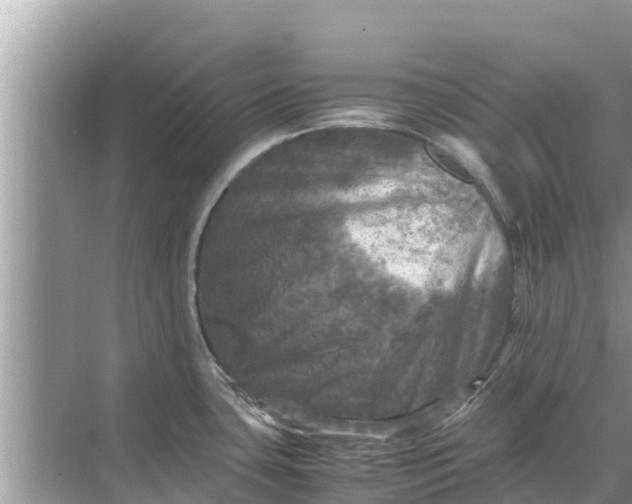 X0000071761435200607142351