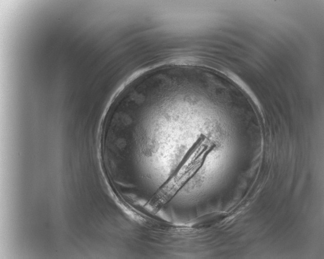 X0000071761437200607142351