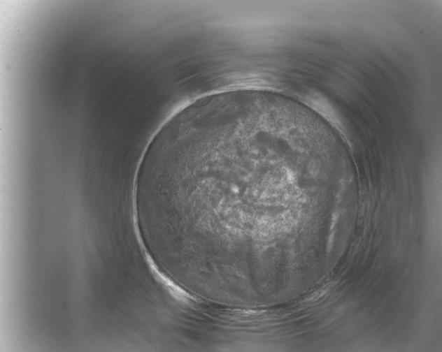 X0000071761439200607142351