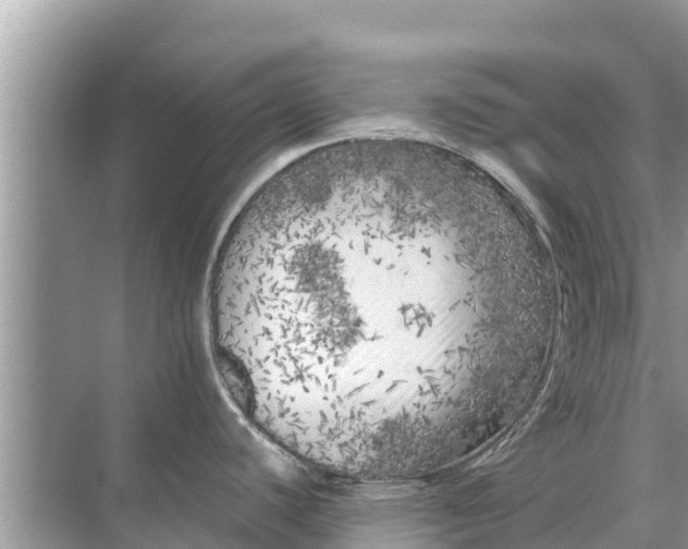 X0000071761440200607142351