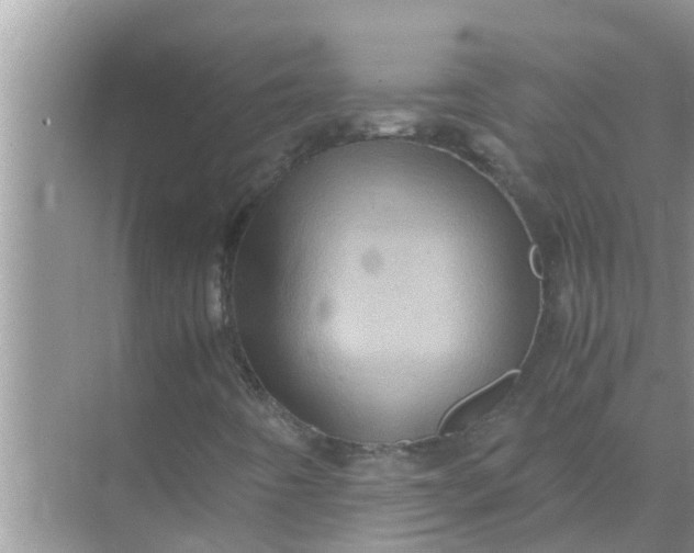 X0000071761442200607142350