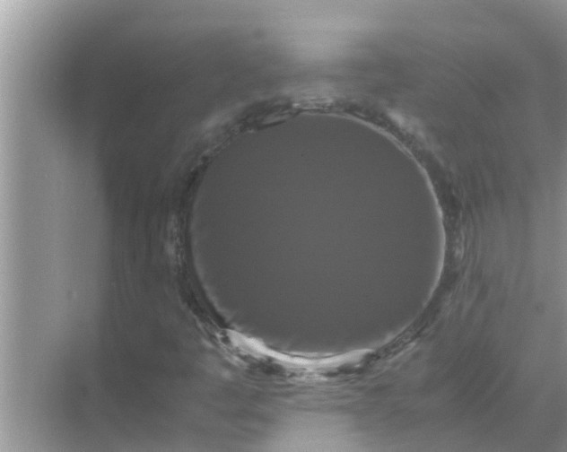 X0000071761445200607142350