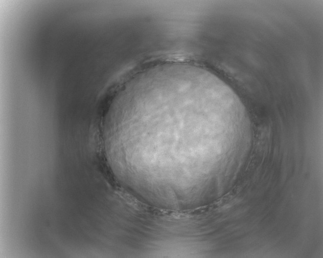 X0000071761446200607142350