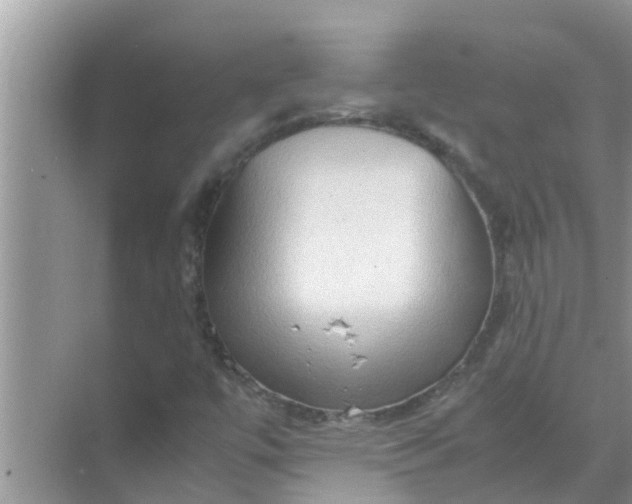 X0000071761447200607142350